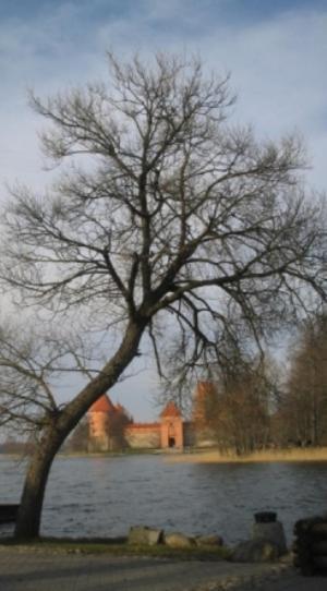 Ezerkiemis Hotel Trakai Bagian luar foto