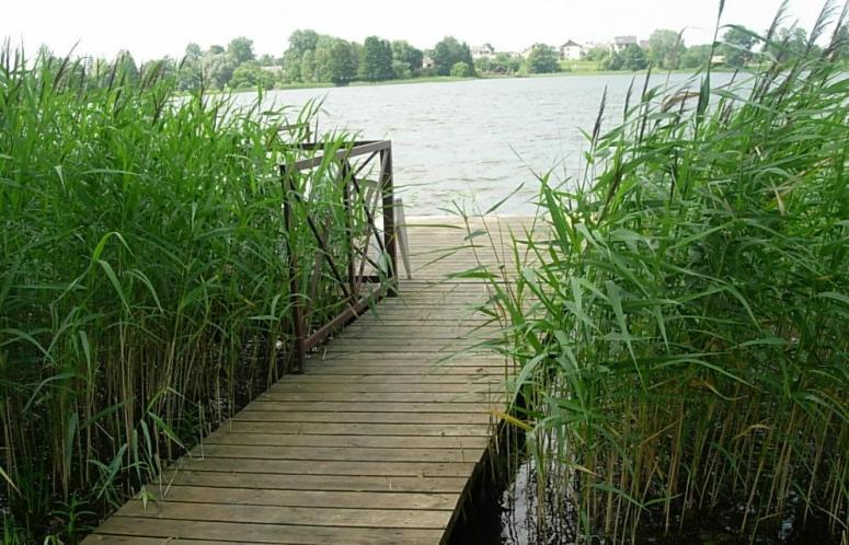 Ezerkiemis Hotel Trakai Bagian luar foto